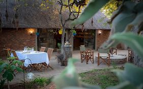 Ngoma Bush Lodge